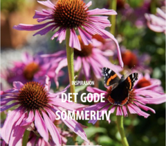 Skjermbilde 2020-08-30 kl. 22.15.46